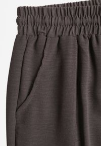 Born2be - Szare Spodnie z Wiskozą o Szerokim Kroju ze Ściągaczem w Talii Lavirre. Okazja: na co dzień. Kolor: szary. Materiał: wiskoza. Styl: casual, klasyczny, wizytowy #2