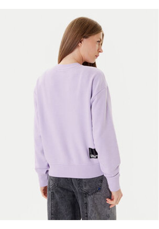 Karl Lagerfeld Jeans Bluza A1W20005 Fioletowy Regular Fit. Kolor: fioletowy. Materiał: bawełna
