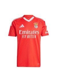 Adidas - Koszulka Benfica 24/25 Home. Kolor: czerwony. Materiał: materiał