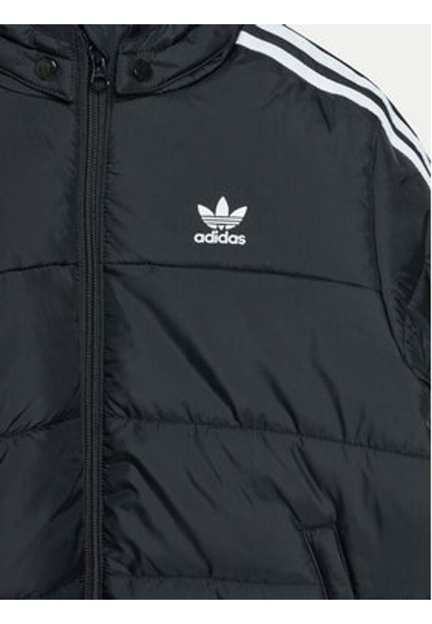 Adidas - adidas Kurtka zimowa adicolor IY4812 Czarny Loose Fit. Kolor: czarny. Materiał: syntetyk. Sezon: zima