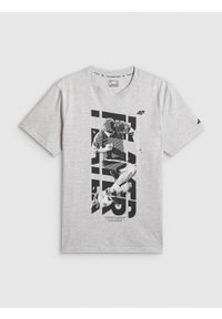 4f - 4F T-shirt regular z nadrukiem męski - szary XXL. Okazja: na co dzień. Kolor: szary. Materiał: bawełna, materiał, jersey. Długość rękawa: krótki rękaw. Długość: krótkie. Wzór: nadruk. Styl: klasyczny, casual, sportowy #1
