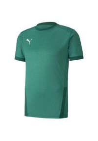 Puma - Męska Koszulka TeamGoal 23. Kolor: zielony