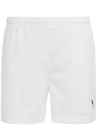Puma Vencida Men Sport Shorts 2xl - Oddychający i lekki > to translate in Polish. Kolor: biały. Materiał: poliester. Sport: piłka nożna