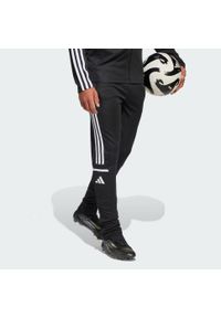 Adidas - Spodnie treningowe dla dzieci Squadra 25. Kolor: czarny, biały, wielokolorowy. Materiał: materiał. Sport: fitness, piłka nożna