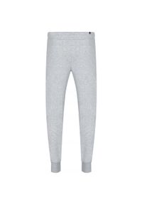 Spodnie Puma Ess 2 Col Logo Pants Tr Cl, Mężczyźni. Kolor: szary. Materiał: bawełna, materiał