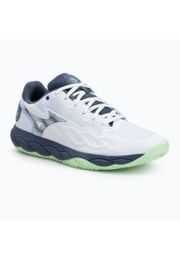 Buty do tenisa męskie Mizuno Wave Enforce Court AC. Kolor: biały, niebieski, wielokolorowy, zielony. Model: Mizuno Wave. Sport: tenis #1