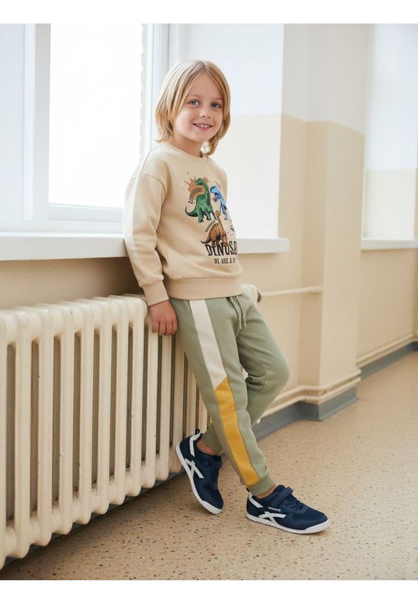 Sinsay - Spodnie dresowe z kolorowymi lampasami - wielobarwny. Materiał: dresówka. Wzór: kolorowy