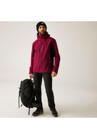Regatta - Kurtka turystyczna przeciwdeszczowa męska Birchdale wodoodporna. Kolor: czerwony, brązowy, wielokolorowy. Materiał: tkanina, poliester. Sport: turystyka piesza #1