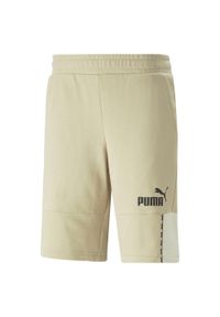 Szorty sportowe Puma Essentials Block Tape Szary. Kolor: wielokolorowy, szary, brązowy. Sport: fitness #1
