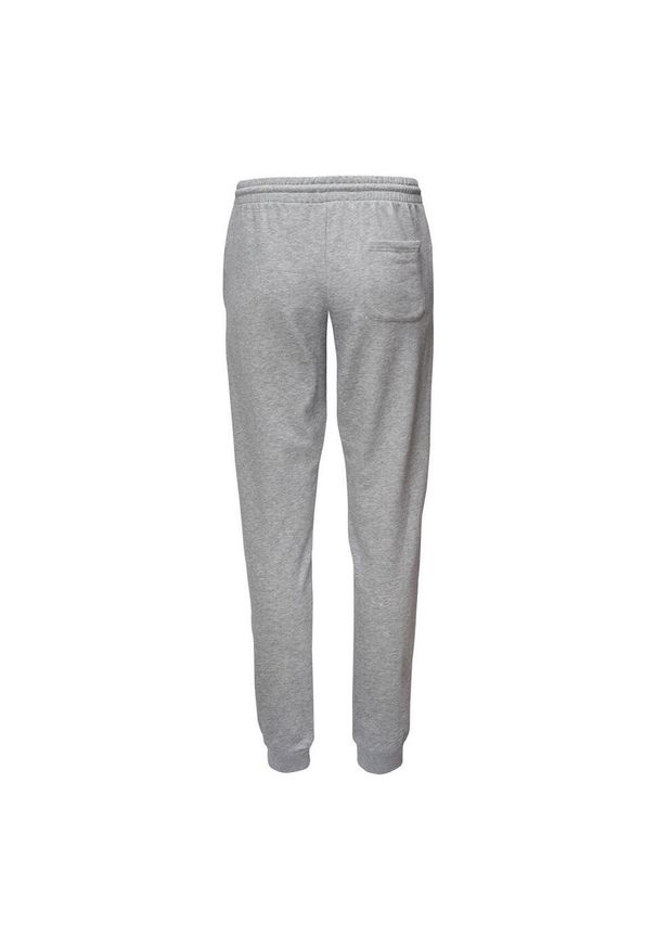 Iguana - Spodnie Do Joggingu Damskie Logo Ichiro. Kolor: szary. Długość: długie. Sport: bieganie