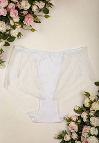 Renee - Białe Majtki High Waist z Delikatną Koronką Fasade. Stan: podwyższony. Kolekcja: plus size. Kolor: biały. Materiał: koronka. Wzór: koronka