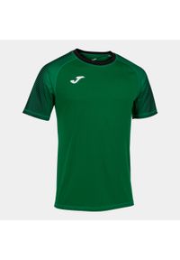 Koszulka do piłki ręcznej męska Joma Hispa III. Kolor: zielony #1
