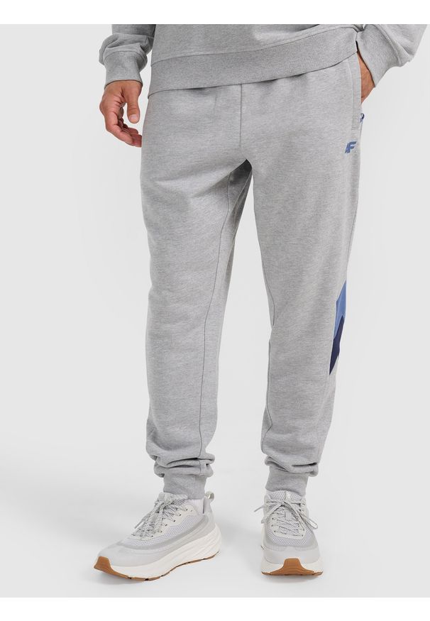 4f - 4F Spodnie dresowe joggery męskie - szare XXL. Kolor: szary. Materiał: dresówka. Sport: fitness, bieganie, turystyka piesza