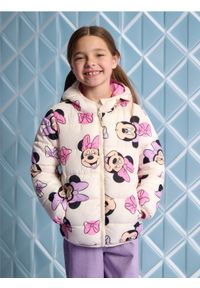 Sinsay - Kurtka pikowana Myszka Minnie - kremowy. Typ kołnierza: kokarda. Kolor: kremowy. Wzór: motyw z bajki #1