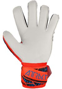 Reusch - Rękawice bramkarskie dziecięce REUSCH Attrakt Solid Finger Support Junior. Kolor: czarny, niebieski, pomarańczowy, wielokolorowy