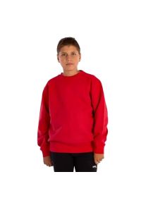 Bluza dziecięca Softee Owen. Kolor: czerwony #1