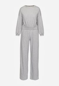 Renee - Szary Bawełniany Komplet Bluza Krótka ze Ściągaczem i Szerokie Spodnie ze Sznurkiem w Pasie Rionnea. Kolor: szary. Materiał: bawełna #3