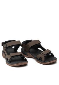 Jack Wolfskin Sandały Lakewood Cruise Sandal M 4019011 Brązowy. Kolor: brązowy. Materiał: skóra