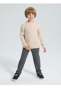 Sinsay - Sweter z dekoracyjnym splotem - beżowy. Kolor: beżowy. Wzór: ze splotem #1