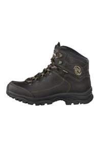Buty trekkingowe damskie MEINDL Vakuum Lady Ultra. Kolor: brązowy, zielony, wielokolorowy. Styl: sportowy