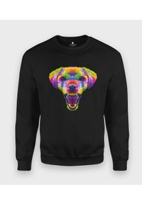 MegaKoszulki - Bluza klasyczna Kolorowy pies. Wzór: kolorowy. Styl: klasyczny