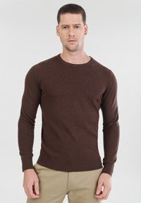Born2be - Brązowy Sweter Cahrtia. Kolor: brązowy #1