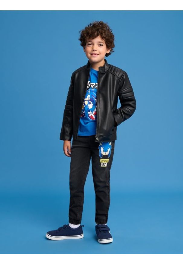 Sinsay - Jeansy Sonic the Hedgehog - czarny. Kolor: czarny. Wzór: nadruk