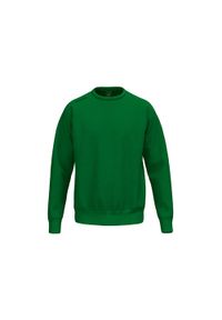 ERIMA - Bluza dziecięca Erima TS. Kolor: zielony. Materiał: bawełna, materiał #1