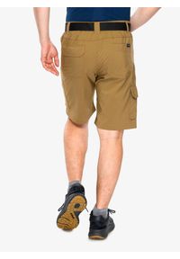 columbia - Spodenki turystyczne męskie Columbia Silver Ridge Utility Cargo Short. Kolor: brązowy