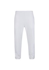 Ultra ciężkiSpodnie dresowe Urban Classics. Kolor: biały. Materiał: dresówka. Sport: bieganie #1