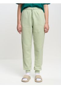 Big-Star - Spodnie dresowe damskie zielone Foxie 301. Kolor: zielony. Materiał: dresówka. Wzór: haft, aplikacja