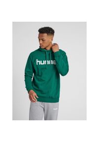 Bluza do piłki ręcznej męska Hummel Cotton Logo z kapturem. Typ kołnierza: kaptur. Kolor: biały, zielony, wielokolorowy