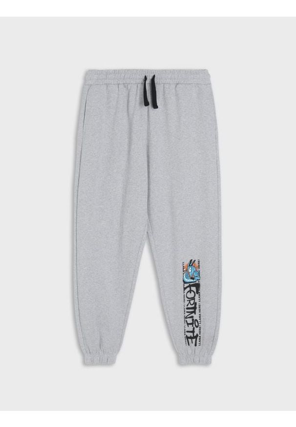 Sinsay - Spodnie dresowe Fortnite - szary. Kolor: szary. Materiał: dresówka. Długość: długie. Wzór: nadruk