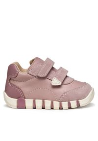 Sneakersy Geox. Kolor: różowy