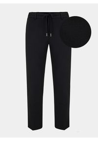 Pako Lorente - PAKO LORENTE – Spodnie męskie garniturowe M21SF-6G-052-C. Okazja: na co dzień. Styl: casual, sportowy #1