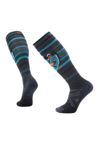 Skarpety narciarskie Smartwool Ski Full Cushion Alpine Edge. Kolor: szary. Sport: narciarstwo #1