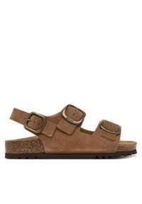 Sandały Scholl. Kolor: brązowy #1