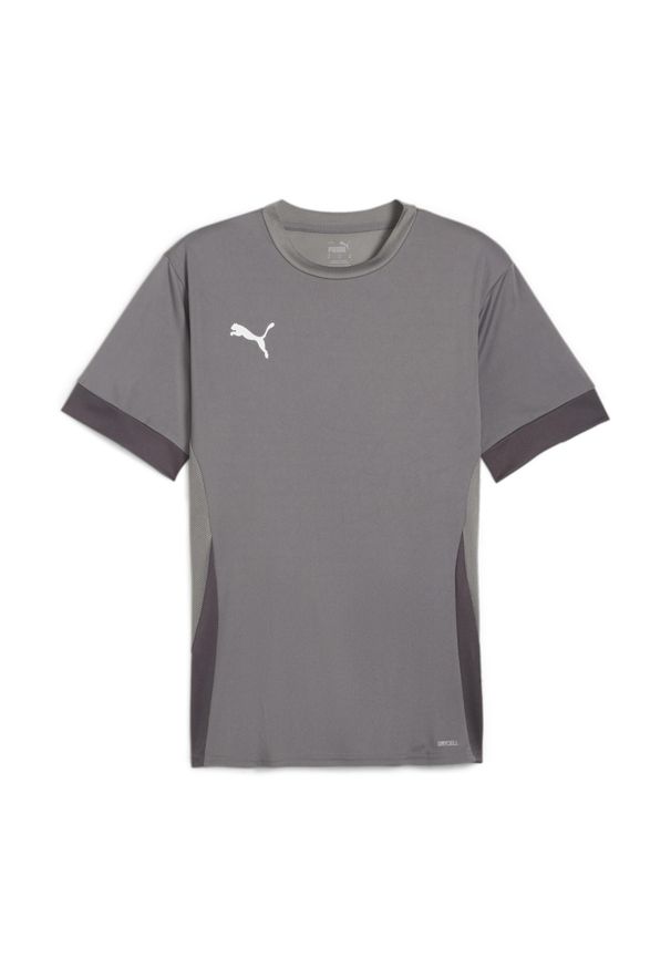 Koszulka treningowa dla dzieci Puma TeamGoal. Kolor: szary. Sport: piłka nożna