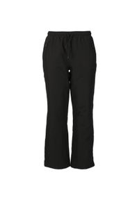 Spodnie narciarskie dla kobiet Whistler Fando V2 10000. Kolor: czarny. Sezon: zima. Sport: narciarstwo #1
