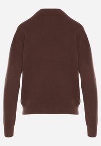 Born2be - Brązowy Sweter z Wełną i Wiskozą o Prostym Fasonie z Półgolfem Giolera. Okazja: na spotkanie biznesowe, do pracy, na co dzień. Kolor: brązowy. Materiał: wiskoza, wełna. Długość rękawa: długi rękaw. Długość: długie. Styl: elegancki, biznesowy, casual #7