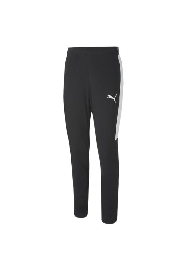 Spodnie Puma Speed. Kolor: wielokolorowy, biały, czarny. Sport: piłka nożna, fitness