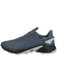 salomon - Buty do biegania męskie Salomon Alphacross 4 Gtx Gore-tex. Zapięcie: sznurówki. Kolor: niebieski. Materiał: materiał. Szerokość cholewki: normalna. Technologia: Gore-Tex. Sport: bieganie