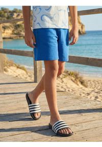 Sinsay - Bawełniane szorty - niebieski. Kolor: niebieski. Materiał: bawełna #1