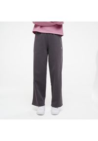 Spodnie dresowe damskie Puma Gym & Pilates. Kolor: szary. Materiał: dresówka. Sport: joga i pilates #1