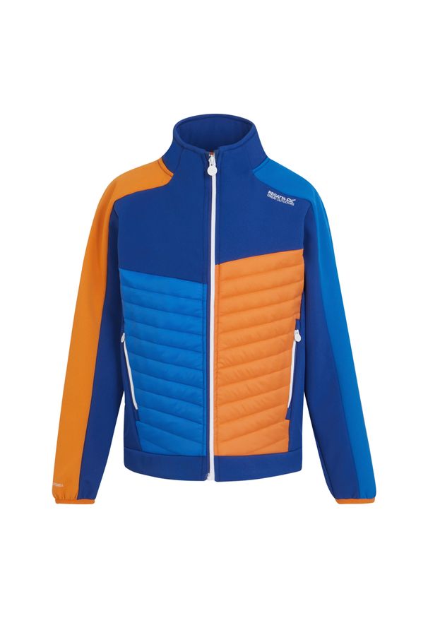 Regatta - Kurtka Dziecięca Brynden Padded Full Zip Soft Shell Jacket. Kolor: niebieski