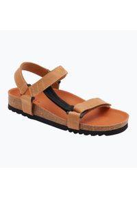 Sandały Scholl Heaven Ad Med. Zapięcie: rzepy. Kolor: brązowy. Sport: turystyka piesza #1