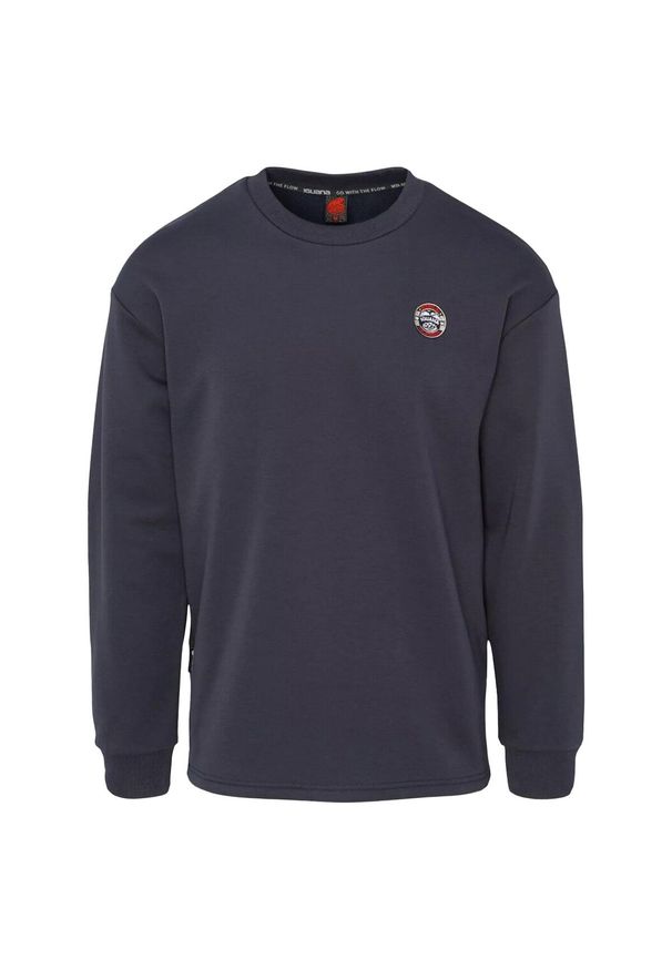 Iguana - Bluza Męska Grove. Kolor: niebieski, wielokolorowy, zielony. Materiał: polar. Sport: turystyka piesza