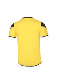 Koszulka dziecięca z krótkim rękawem Mizuno Team Game Runbird. Kolor: żółty, niebieski, wielokolorowy. Długość rękawa: krótki rękaw. Długość: krótkie