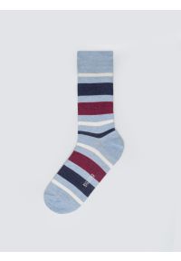Big-Star - Skarpety męskie bawełniane w kolorowe paski niebieskie Ismaelo 401. Kolor: niebieski. Materiał: bawełna. Wzór: kolorowy, paski #1