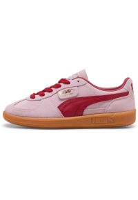 Adidasy Puma Palermo, Mężczyźni. Kolor: czerwony, fioletowy, wielokolorowy. Materiał: zamsz, materiał